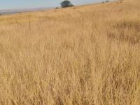  of property in Rustenburg