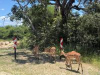  of property in Hoedspruit