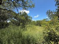  of property in Hoedspruit