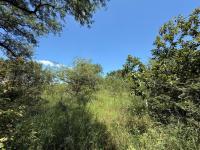  of property in Hoedspruit