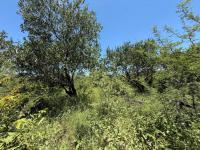  of property in Hoedspruit