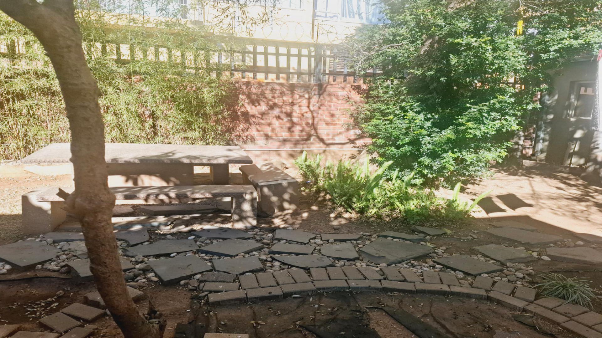 Backyard of property in Sunnyside