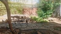 Backyard of property in Sunnyside