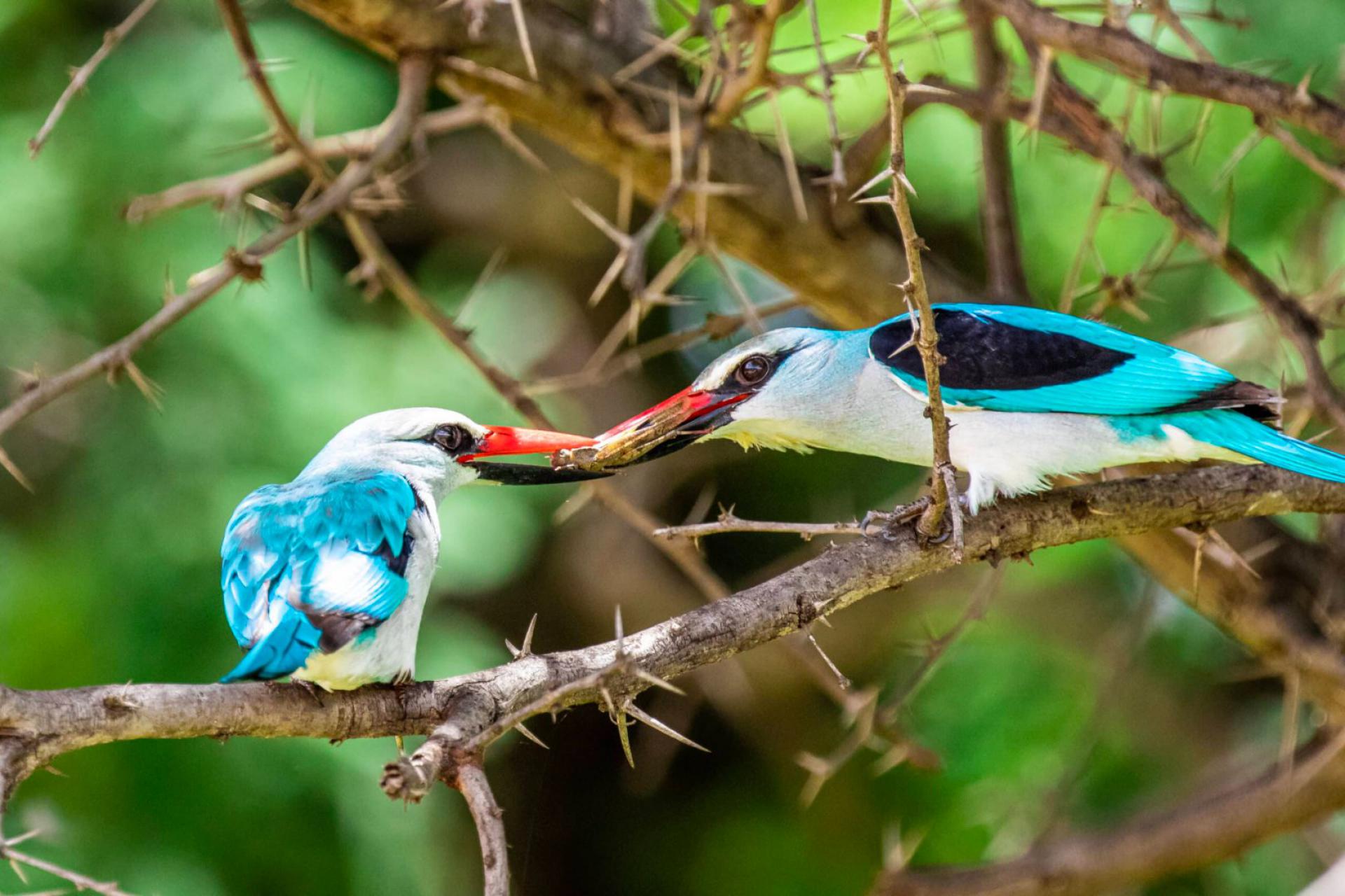  of property in Hammanskraal