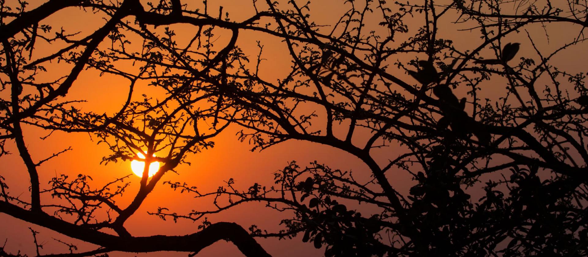  of property in Hammanskraal