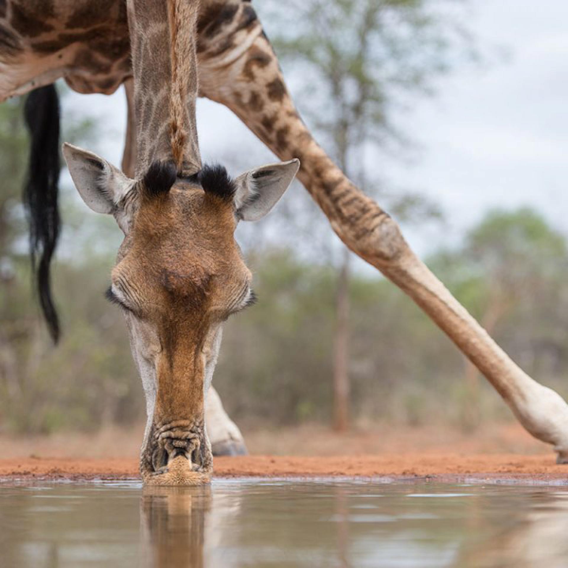  of property in Hammanskraal
