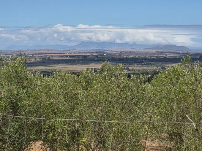 Farm for Sale For Sale in Cape Farms - MR709908