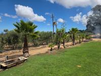  of property in Cape Farms