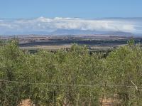  of property in Cape Farms