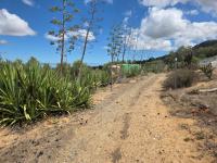  of property in Cape Farms