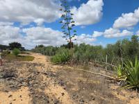  of property in Cape Farms