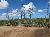  of property in Cape Farms