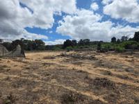  of property in Cape Farms