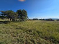  of property in Walkerville