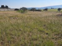  of property in Walkerville