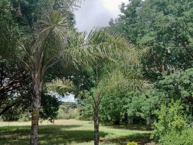 Farm for Sale For Sale in Polokwane - MR710037