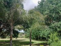  of property in Polokwane