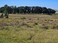  of property in Klippoortjie AH