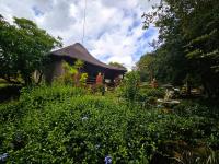  of property in Walkerville