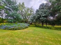  of property in Walkerville