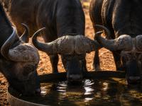  of property in Hoedspruit