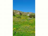  of property in St Helena Bay