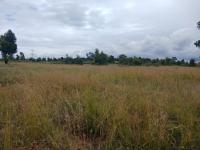  of property in Dreamland AH