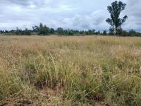  of property in Dreamland AH