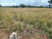  of property in Dreamland AH