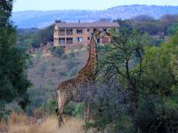  of property in Swartruggens