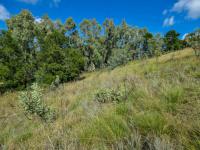  of property in Waterkloof Heights