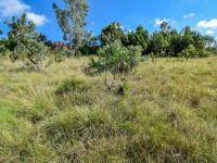  of property in Waterkloof Heights