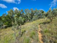  of property in Waterkloof Heights