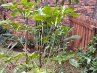  of property in Val de Grace