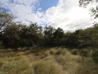  of property in Hoedspruit