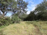  of property in Hoedspruit