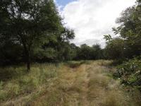  of property in Hoedspruit