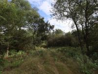  of property in Hoedspruit