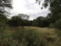  of property in Hoedspruit