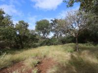  of property in Hoedspruit