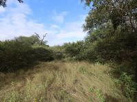  of property in Hoedspruit