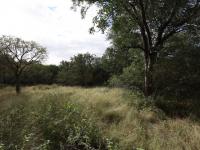  of property in Hoedspruit