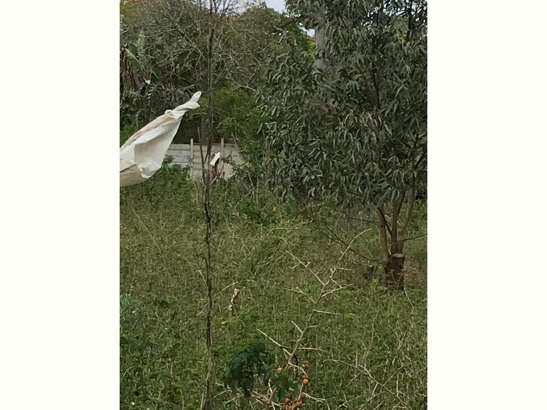  of property in Alexandria