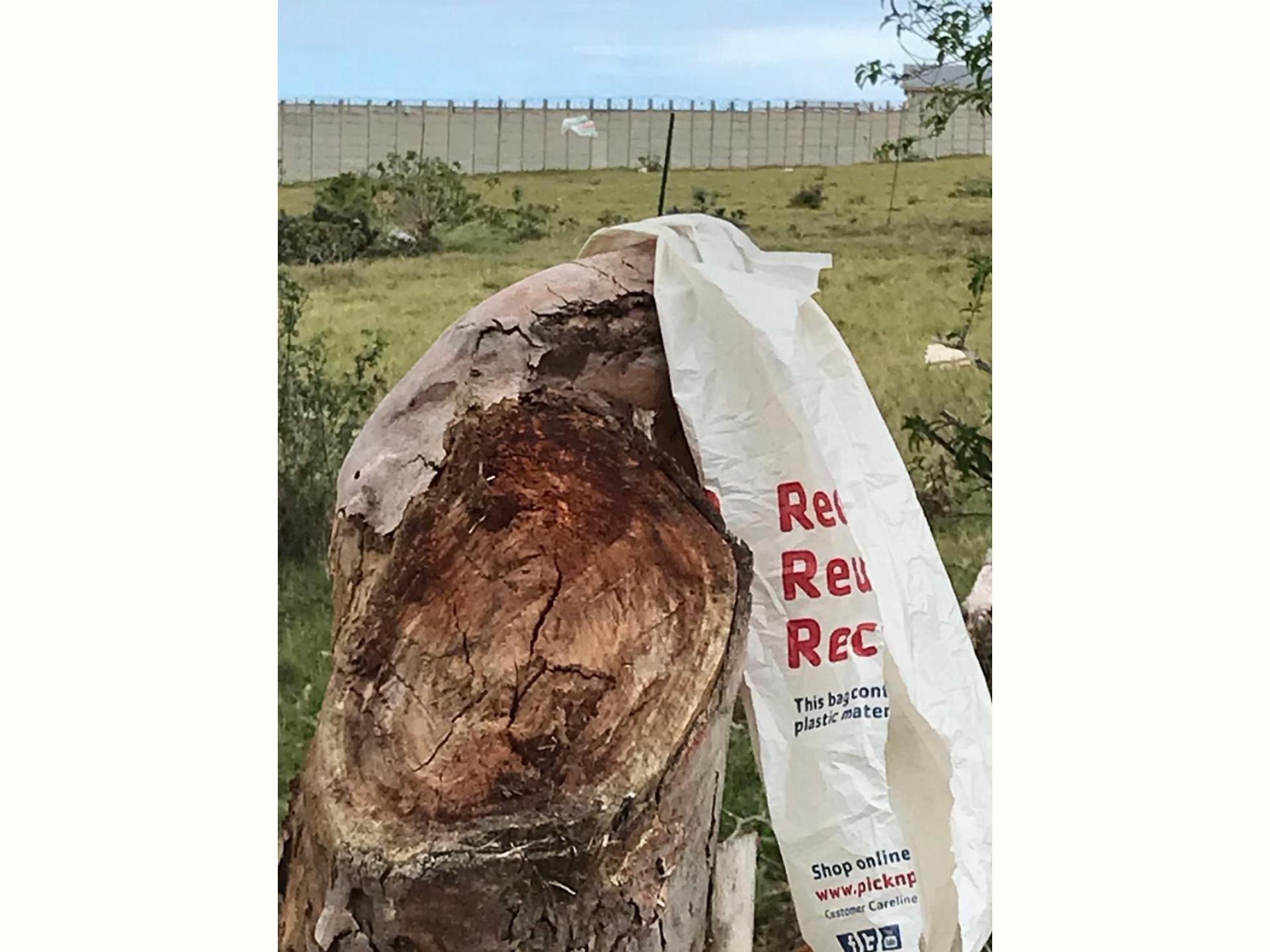  of property in Alexandria