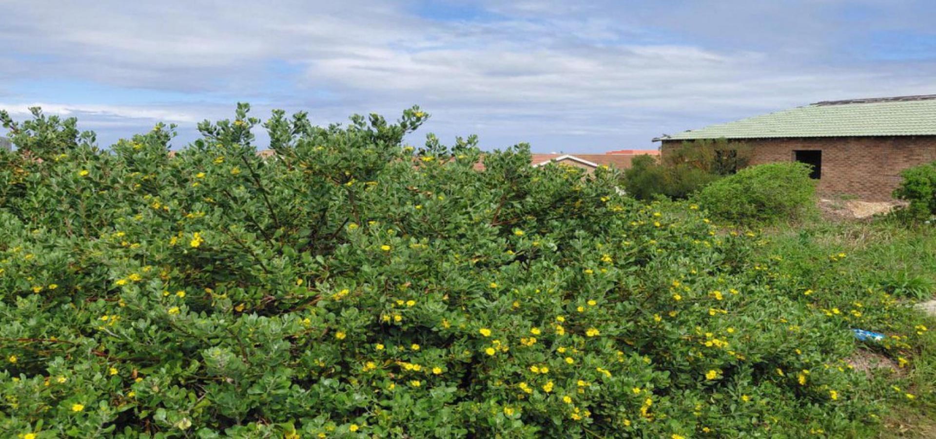  of property in Bluewater Bay