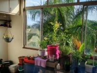  of property in Bluff