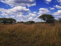  of property in Tweefontein