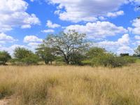  of property in Tweefontein