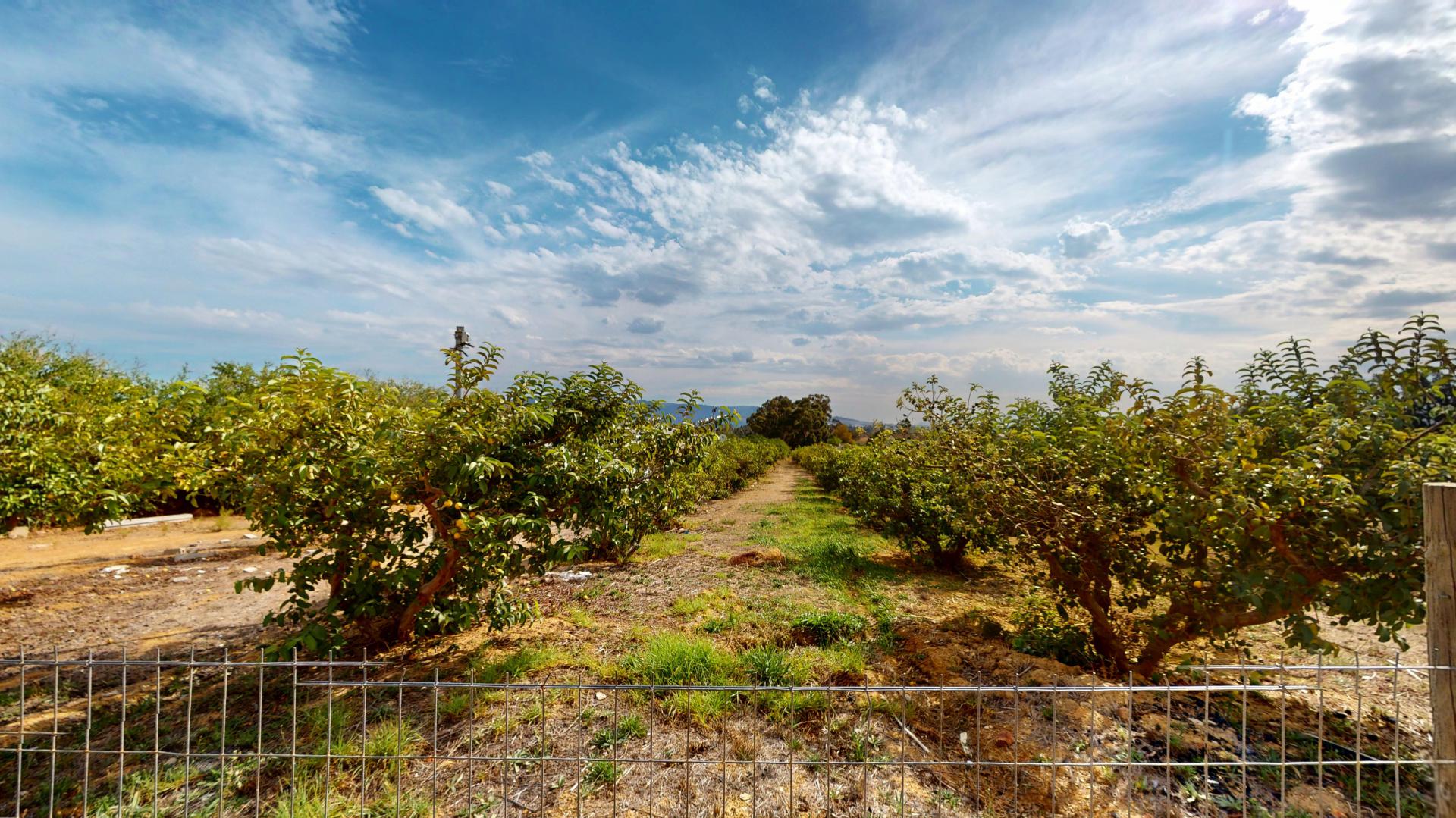  of property in Paarl