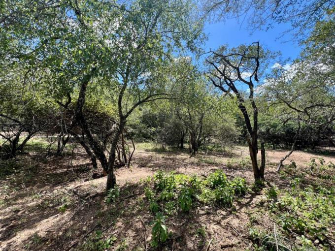 Land for Sale For Sale in Marloth Park - MR711599